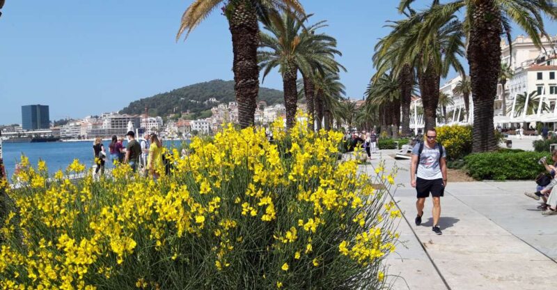 SPLIT:Emperor's Walking Tour for History Lovers - Comparing to Similar Experiences in Split