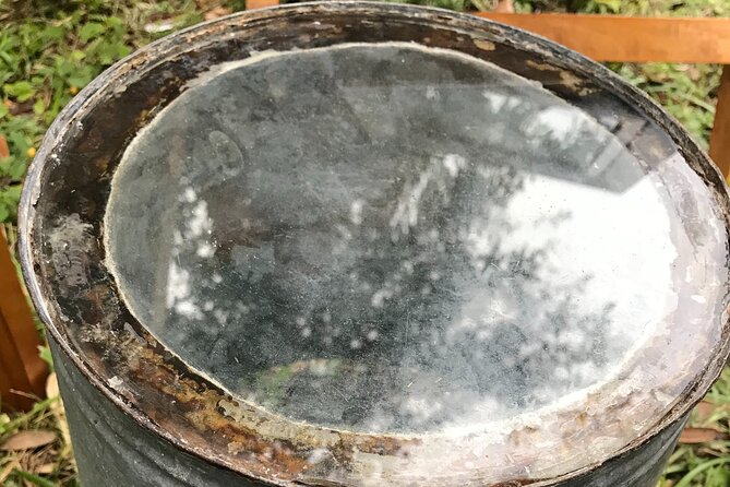 Sponge Dock Stroll - Customer Feedback Highlights