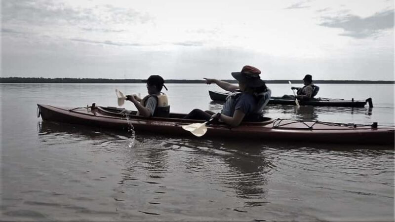 Spooky Swamp | Evening Paddle on Lake Charlotte(Sunset Tour) - Practical Details for a Comfortable Paddle