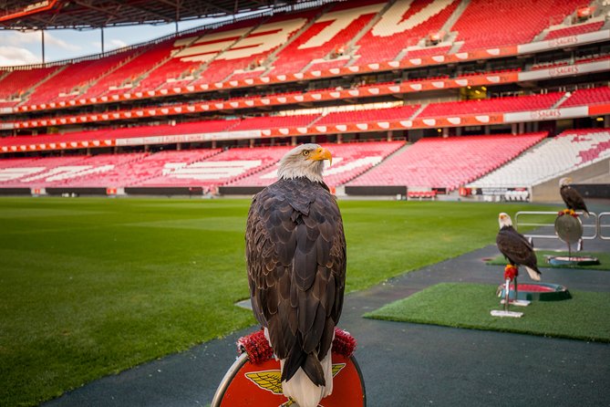 Sport Lisboa e Benfica Stadium and Museum Tickets - Limitations and Important Considerations