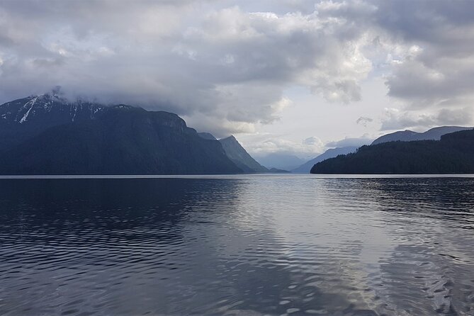 Spring Bears and Whales Tour in Campbell River - The Scenic Route Through the Discovery Islands