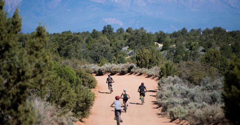 Springdale: Half-Day Mountain Biking Adventure - Discover the Springdale: Half-Day Mountain Biking Adventure