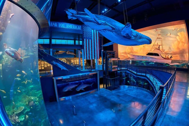 Springfield: Wonders of Wildlife National Museum & Aquarium - Key Points