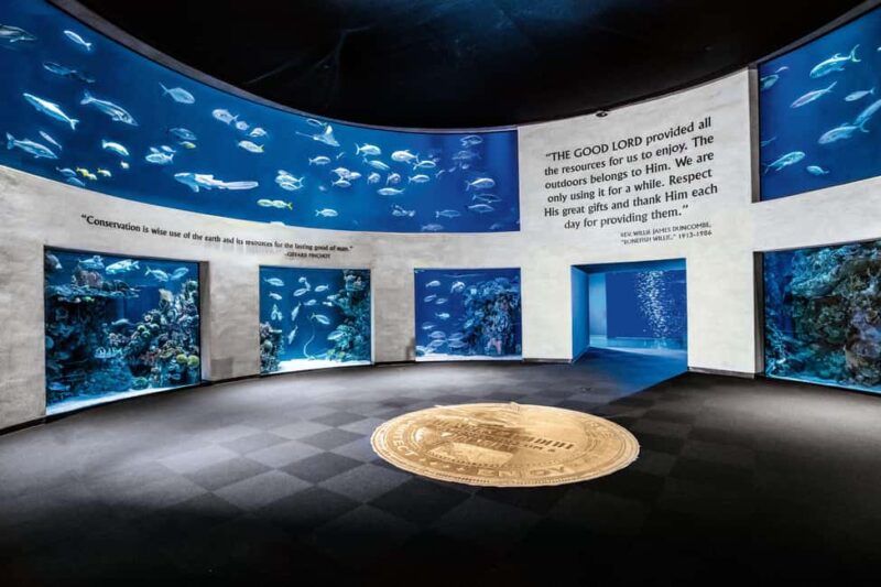 Springfield: Wonders of Wildlife National Museum & Aquarium - Explore the Wonders of Wildlife Museum in Springfield
