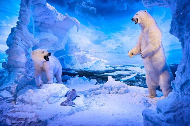 Springfield: Wonders of Wildlife National Museum & Aquarium - Practical Planning: Tickets, Timing, and Booking