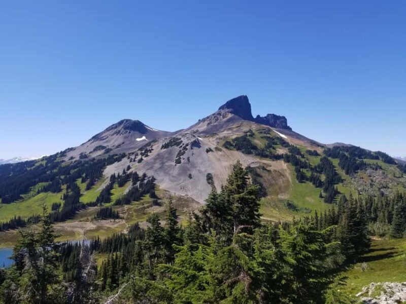 Squamish/Whistler: Garibaldi Park Panorama Ridge Guided Hike - Explore the Spectacular Views of Garibaldi Park with a Guided Hike to Panorama Ridge