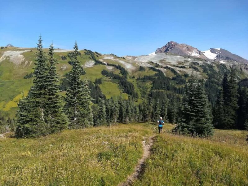 Squamish/Whistler: Garibaldi Park Panorama Ridge Guided Hike - The Expertise and Style of the Guided Tour