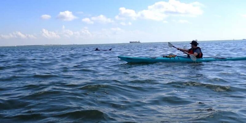 SS Selma Concreate Shipwreck | Historical WWI Landmark - Equipment and Safety Measures
