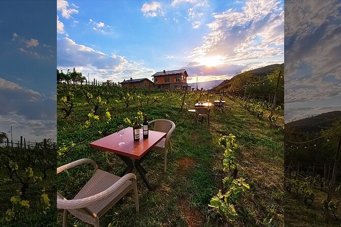 S&S Winery - Wine Tasting Experience in Ohrid - Tasting a Diverse Range of Macedonian Wines