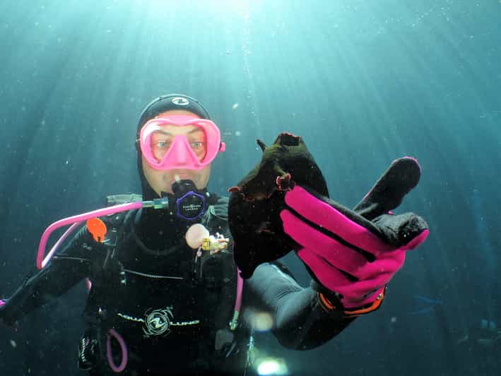 SSI Try Scuba Diving in the sea - Explore Malta’s Underwater World with SSI Try Scuba Diving