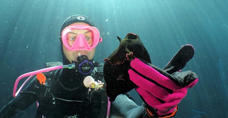 SSI Try Scuba Diving in the sea - What the Experience Includes: Safety and Equipment