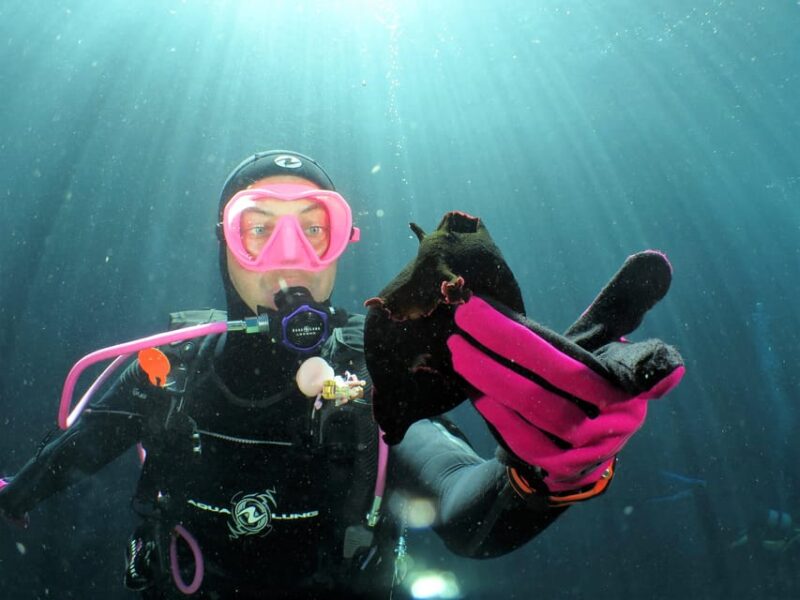 SSI Try Scuba Diving in the sea - Cancellation and Flexibility Options