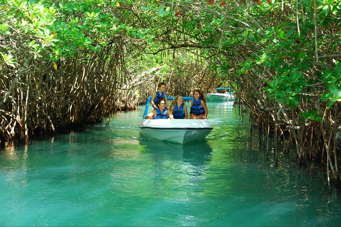 SSS Experience. Speedboat, Snorkel, and Sightseeing in Cancun, Must Do Activity - Key Points