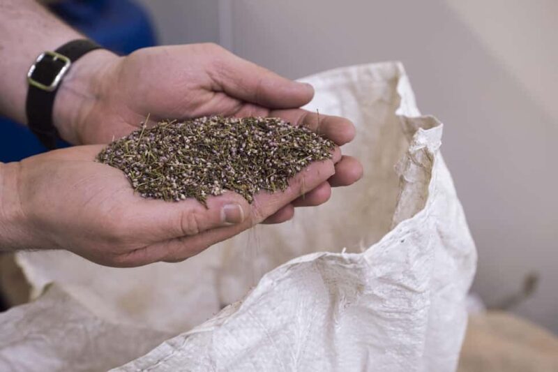 St Andrews: Eden Mill Classic Gin Experience - How the Tour Introduces the History and Spirit of Gin