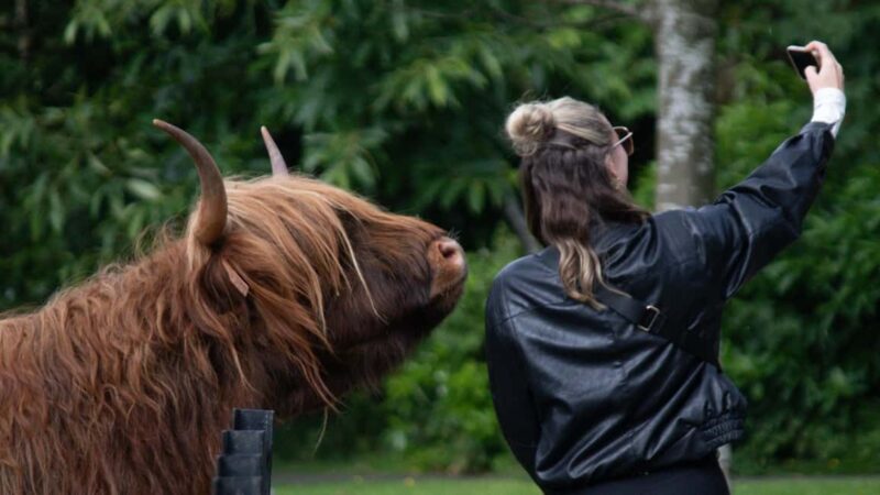 St Andrews Fishing Villages Fife Private Tour from Edinburgh - Discovering the Fife Coast and Its Unique Villages