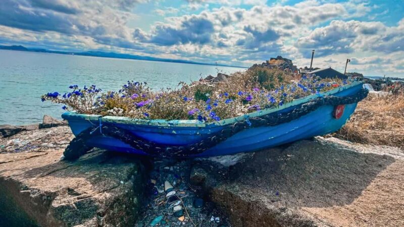 St Andrews Fishing Villages Fife Private Tour from Edinburgh - Falkland Palace and the Outlander Connection