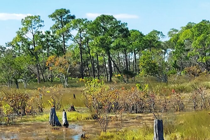 St. Andrews State Park Sunset Cruise - Weather and Cancellation Policy