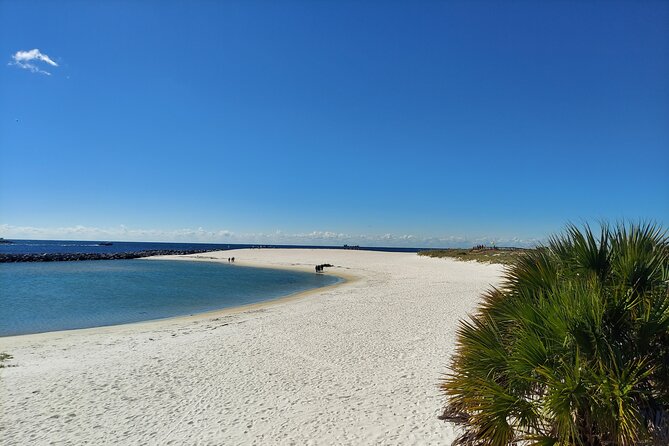 St. Andrews State Park Sunset Cruise - Comparing Similar Coastal Cruises in Panama City Beach