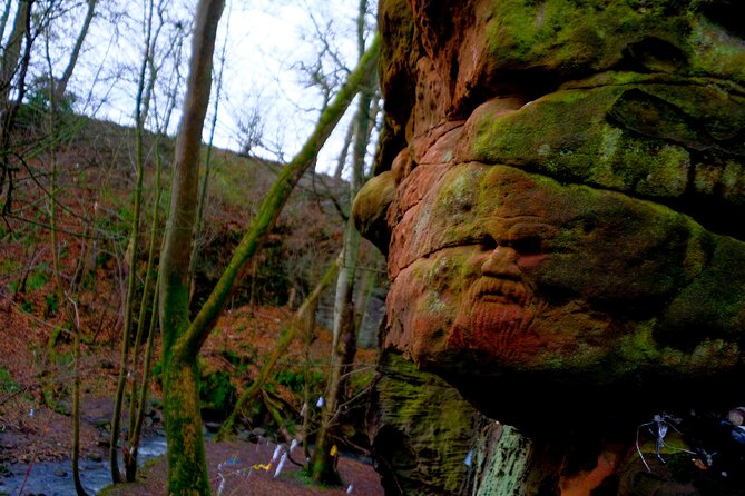 St Andrews, Villages and Coastal Charm: Private Land Rover Tour - Scenic Drives and Scottish Landscapes