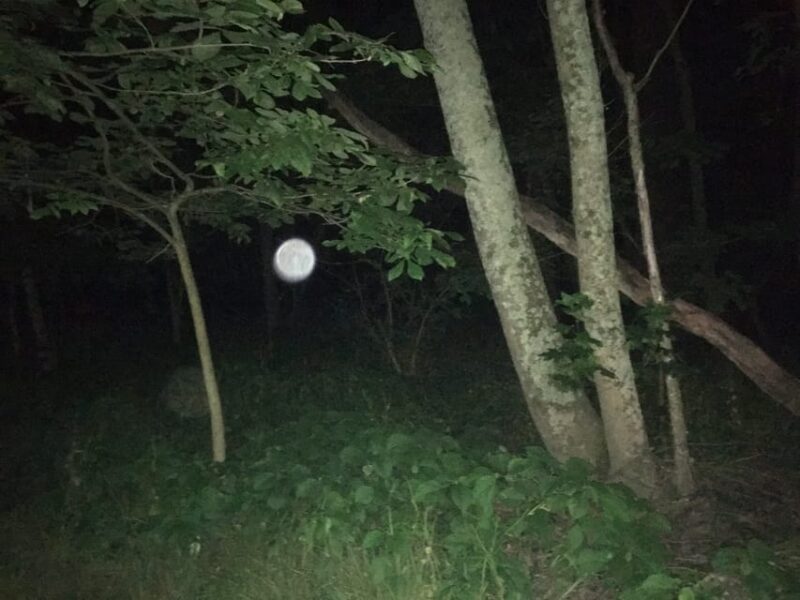 St. Augustine: Devil's Hour Paranormal Investigation Tour - The Experiences Unique Selling Points