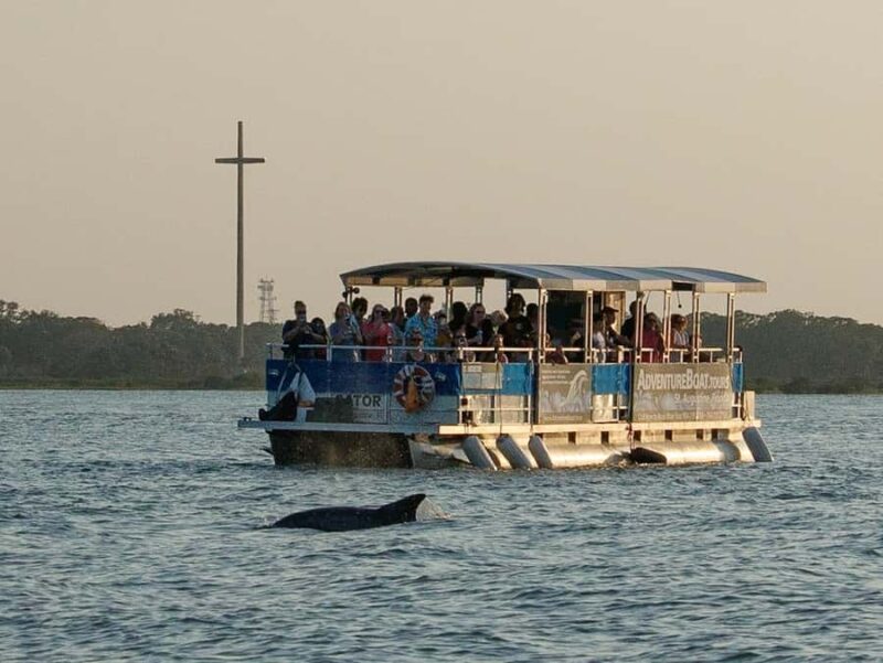St. Augustine: Dolphin Tails & History Cruise - The Value of a One-Hour Wildlife & History Cruise