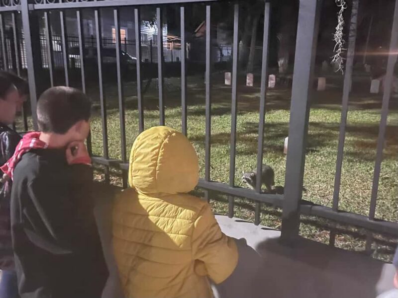 St. Augustine: Family-Friendly Guided Ghost Tour - Family-Focused Night in Americas Oldest City