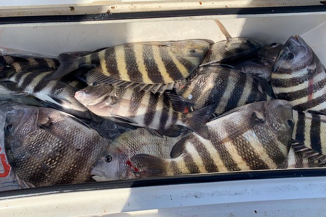 St. Augustine Fishing Charter-23' - A Focused, Private Fishing Adventure in St. Augustine