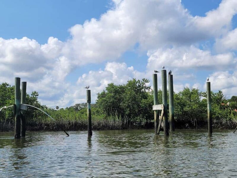 St. Augustine: Salt Marsh Kayak Tour - Exploring the Historic Mission Grounds