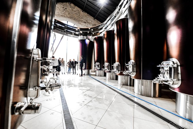 St-Emilion & Médoc Combine Day Tour including Wine Tastings and Lunch - Pacing, Timing, and Overall Experience