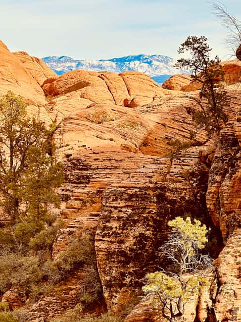 St. George: Jeep Exploration Slot Canyon & Rock Formations - What Makes This Tour Stand Out from Similar Adventures
