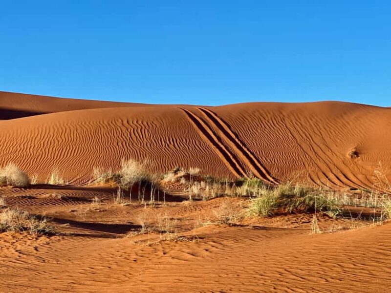 St. George: Sand Mountain Sunset Jeep Tour (Private) - Logistics and Booking Flexibility