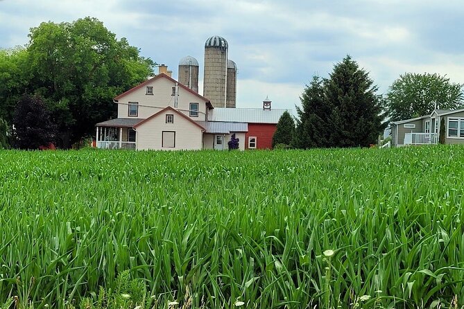St. Jacobs Market & Mennonite Countryside Tour - Visiting St. Jacobs Farmers Market: Canadas Largest Year-Round Market