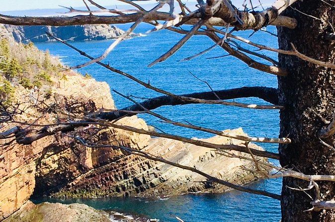 St. John's Coastal Hike with Top Local Guide Deneen - Seasonal Wildlife and Scenic Highlights