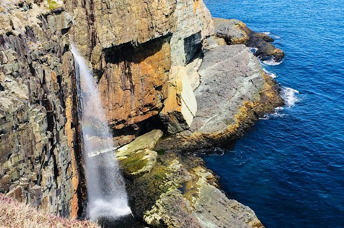 St. John's Coastal Hike with Top Local Guide Deneen - Personalized, Knowledgeable Guiding