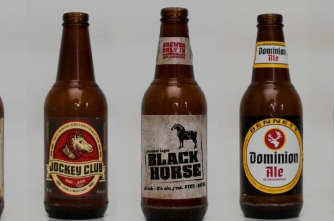 St. John's Local Pub Tour & History Lesson - The Guide’s Storytelling Style and Local Knowledge