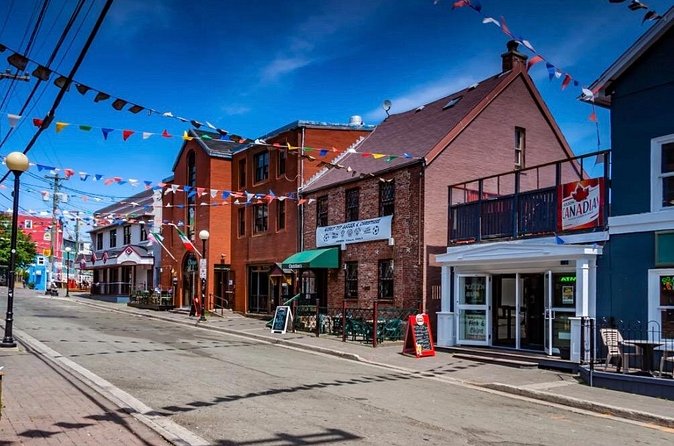 St. John's Local Pub Tour & History Lesson - Why This Tour Appeals to Specific Visitors