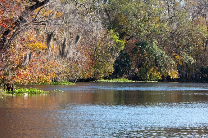 St. Johns River Cruise - Blue Spring State Park - Location and Meeting Point at Blue Spring State Park