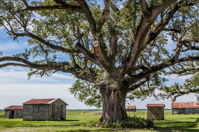 St. Joseph and Felicity Plantation Combo Tour - Flexibility and Cancellation Policy