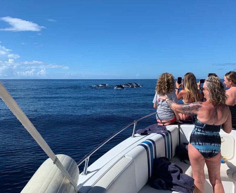 St.Lucia Private West Coast Snorkeling charter to Soufriere - Lunch Break and Island Sightseeing