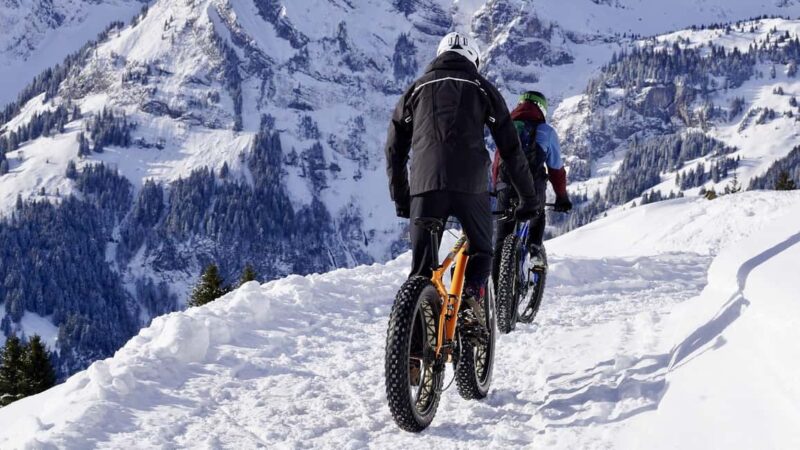 St. Moritz Valley Winter E-Bike Tour with Guide - Explore the Engadin Valley on an E-Bike Guided Tour from St. Moritz