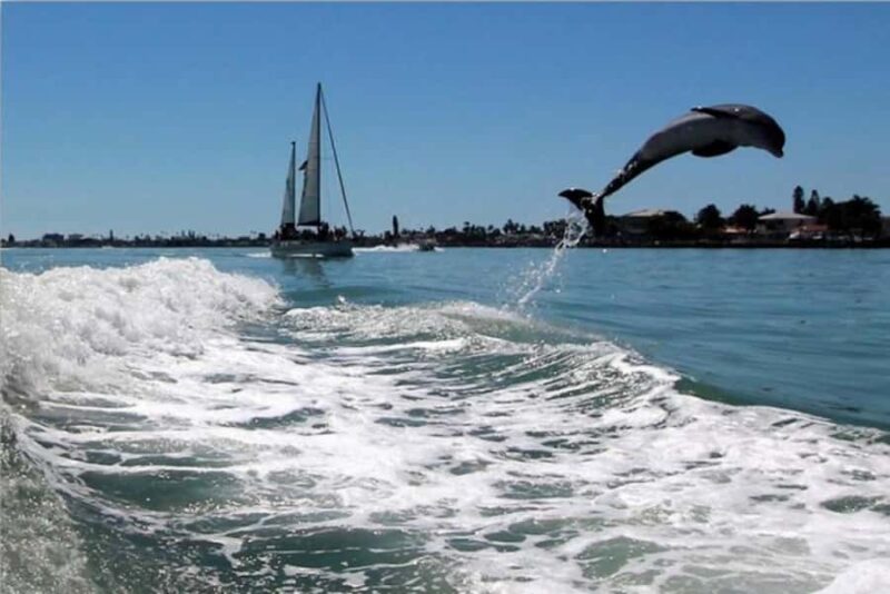 St. Pete Beach: Dolphin Racer Cruise by Speedboat - Booking Options and Cancellation Policies