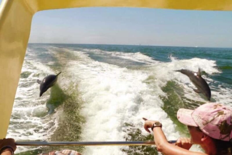 St. Pete Beach: Dolphin Racer Cruise by Speedboat - Final Thoughts on the Dolphin Racer Speedboat Tour