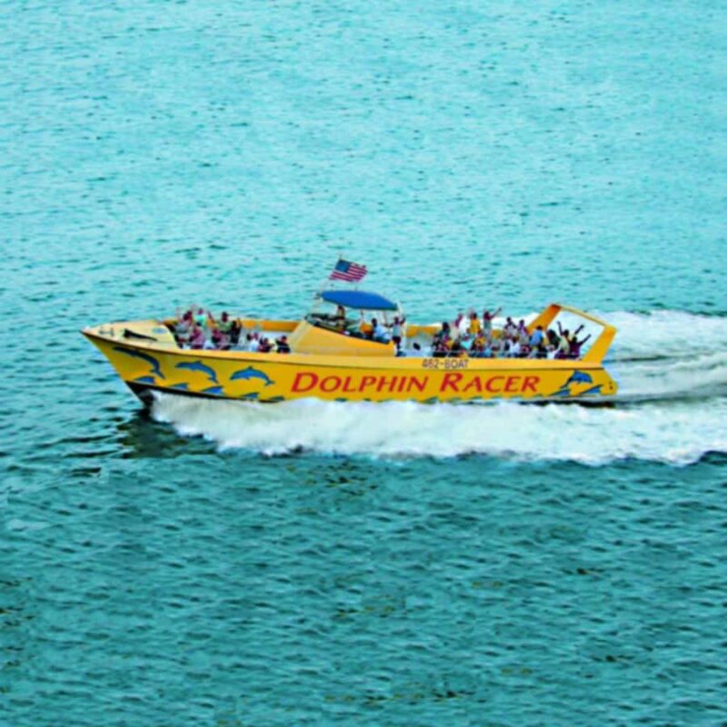 St. Pete Beach: Dolphin Racer Sightseeing Cruise - Comparing with Similar Tours and Additional Options
