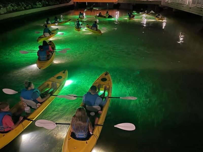 St. Pete Beach: Glass Bottom Kayak Fish Feeding Night Tour - Key Points