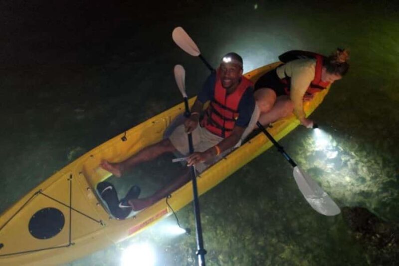 St. Pete Beach: Glass Bottom Kayak Fish Feeding Night Tour - Paddling to the Mangrove Island and Bird Sanctuary