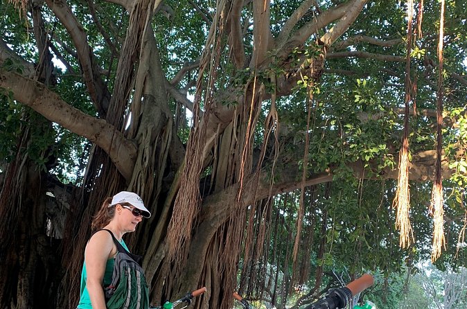 St Pete Ebike Tour with Lunch - Practical Details: Group Size, Weather, and Accessibility