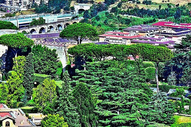 St. Peter's Basilica and Papal Grottoes Guided Tour - The Experience of a Guided Tour: Knowledgeable Guides and Personal Stories