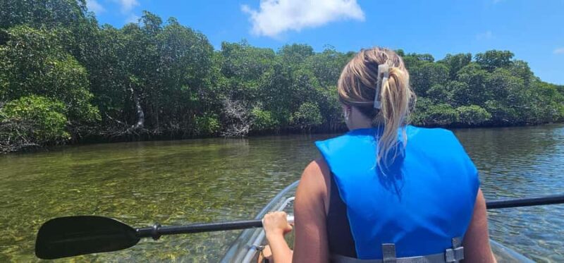 St. Petersburg: Clam Bayou Nature Preserve Clear Kayak Tour - Exploring Clam Bayou’s Wildlife in Florida