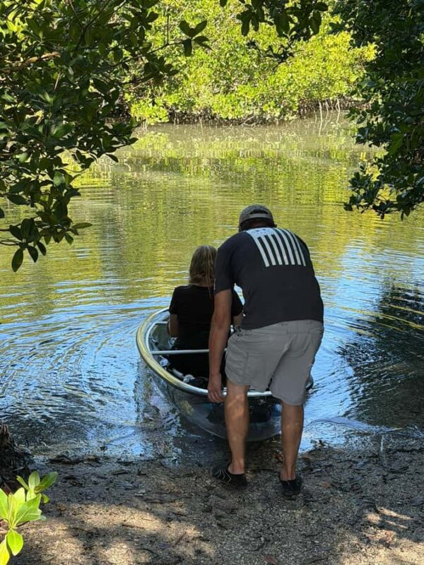 St. Petersburg: Clam Bayou Nature Preserve Clear Kayak Tour - Final Thoughts on Clam Bayou Kayaking