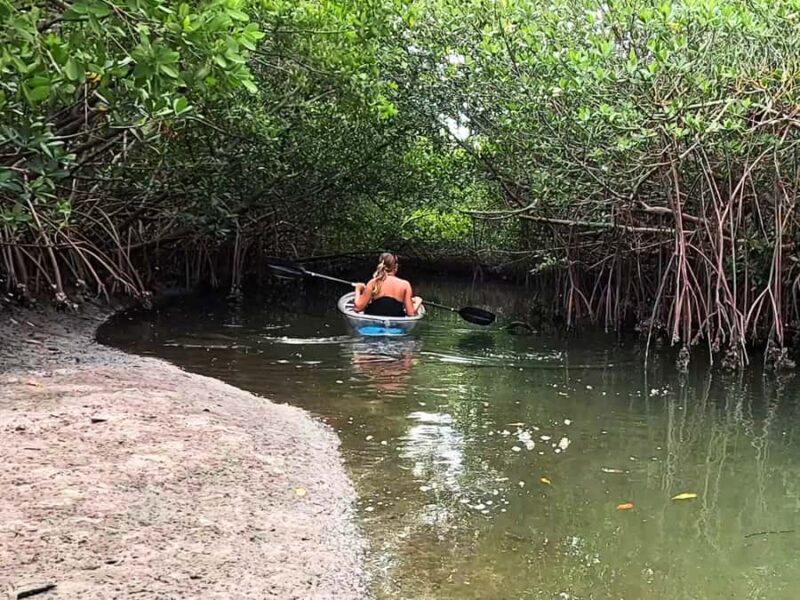 St. Petersburg: Clear Kayak Rental at Clam Bayou Nature Park - Key Points